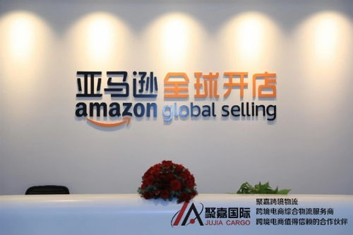 上海至墨西哥FBA海运与空派专线物流 聚嘉跨境物流的国际代理服务