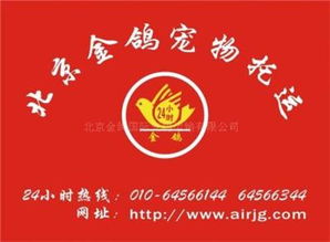 专业国际宠物托运出境服务 北京金鸽国际宠物托运代办指南